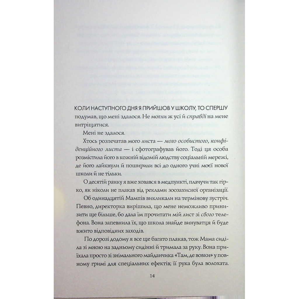 Книга Грандіозна штука - Сьюзін Нільсен Жорж (9786178287580) - зображення 9