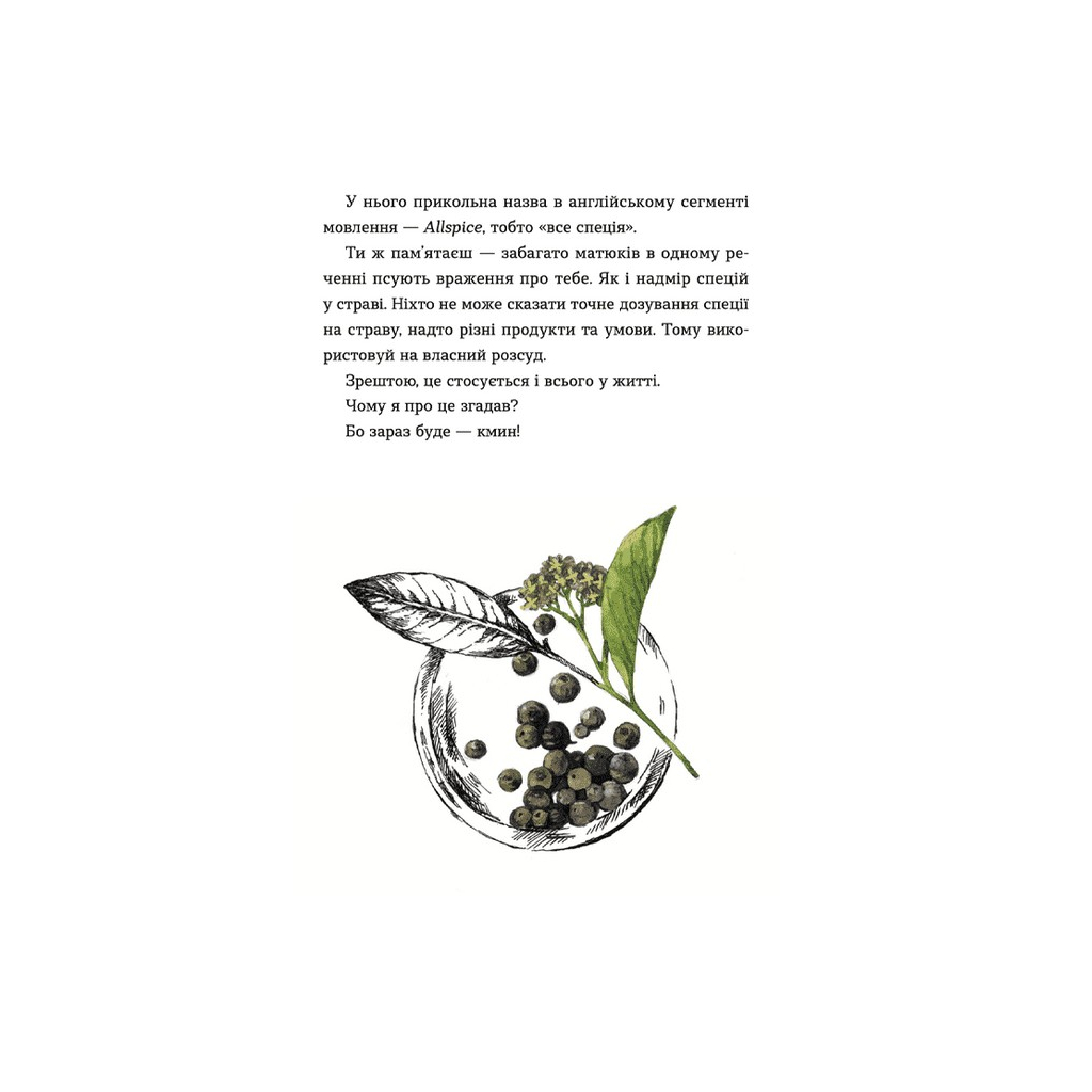 Книга 69 спецій для Серця - Андрій Гудима Видавництво Старого Лева (9789664481714) - зображення 9