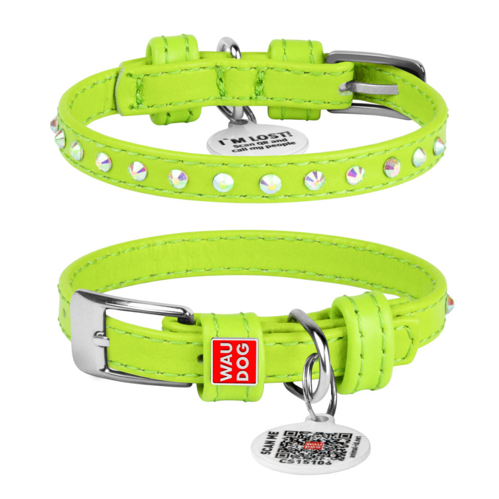 Нашийник для тварин WAUDOG Glamour з QR-паспортом з стразами XXS2 Ш 9 мм Д 19-25 см салатовий (32525) - зображення 1