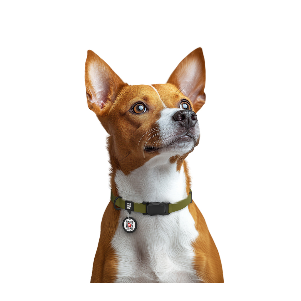 Нашийник для тварин WAUDOG Magnet c QR паспортом, магнітна пряжка-фастекс S хакі (279431) - зображення 6