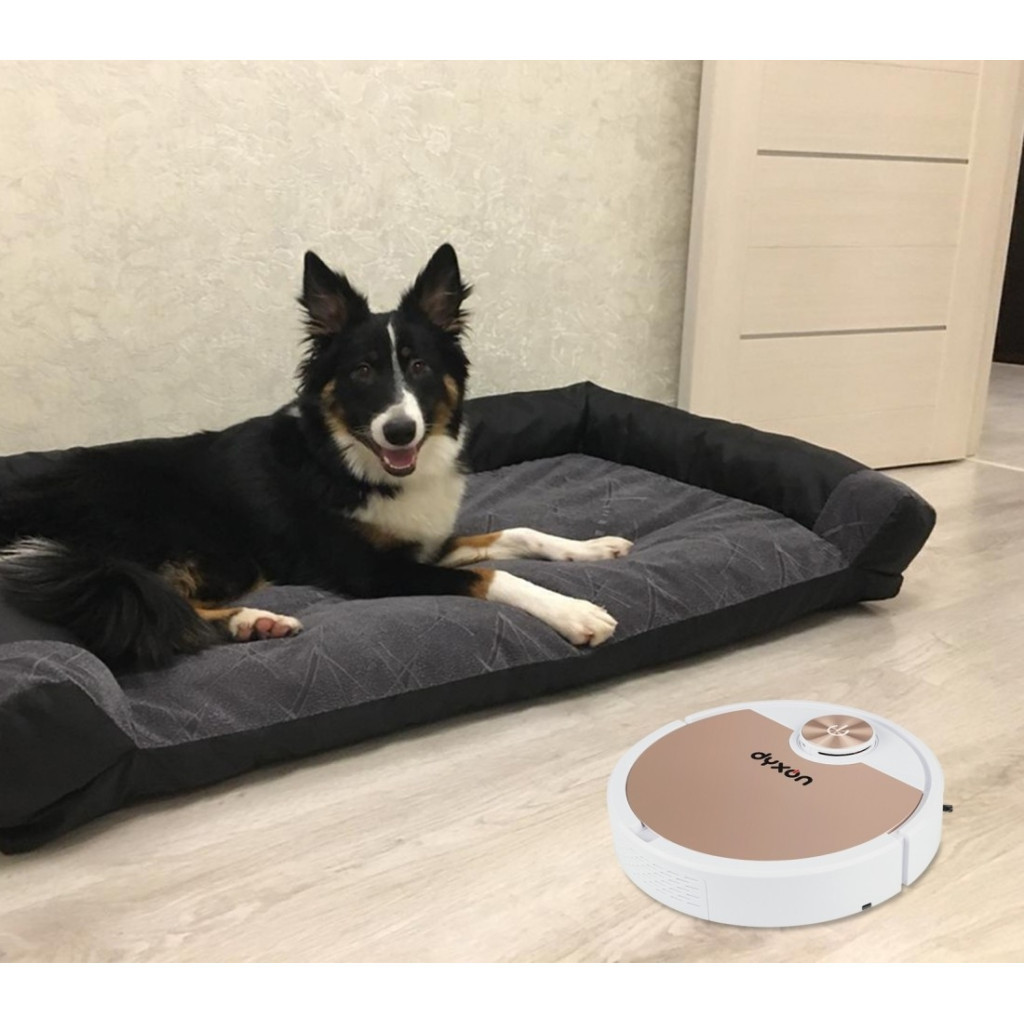 Пилосос DYXON MEGAVAC 3000 white-bronze - зображення 9