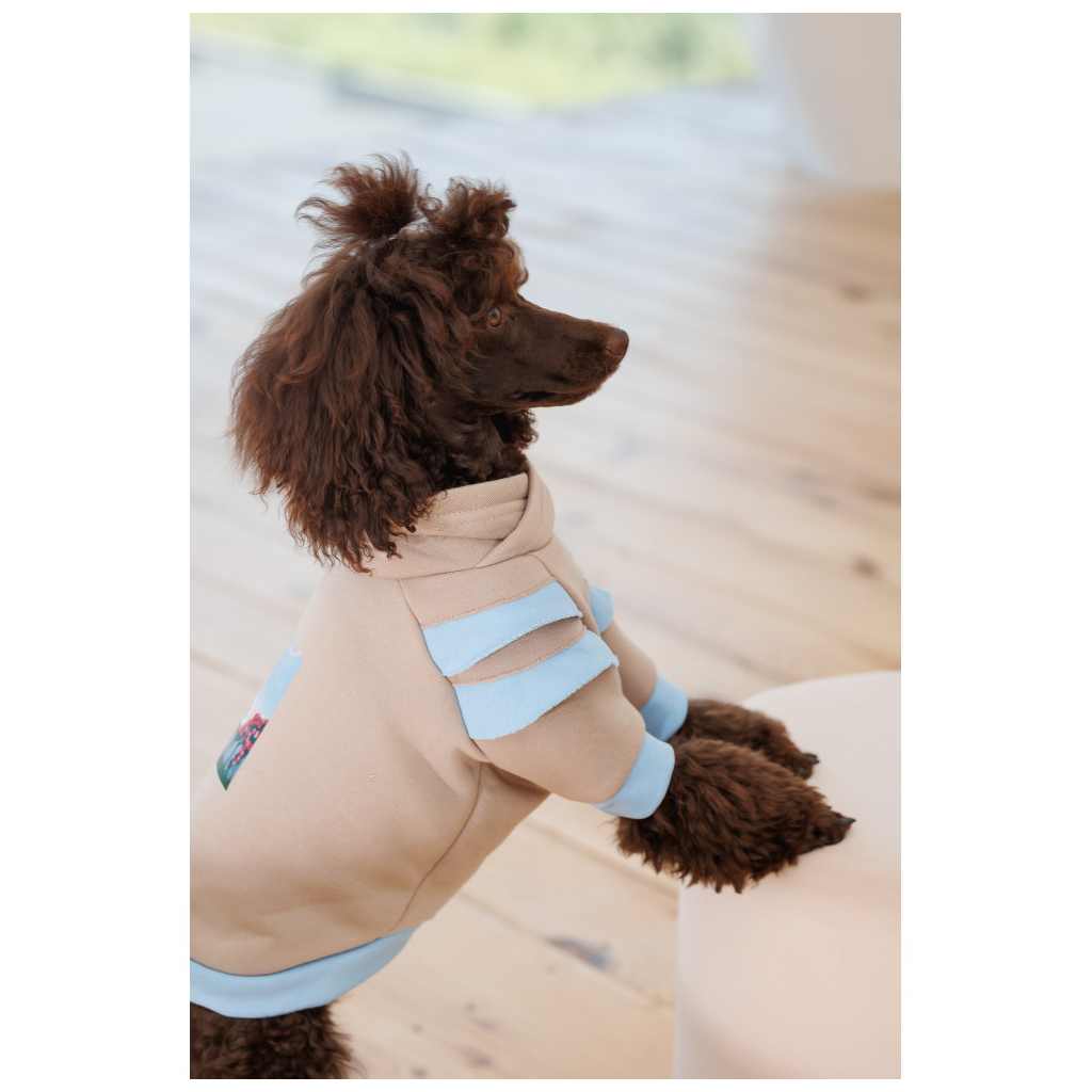 Светр для тварин Pet Fashion Home М (4823082434992) - изображение 6