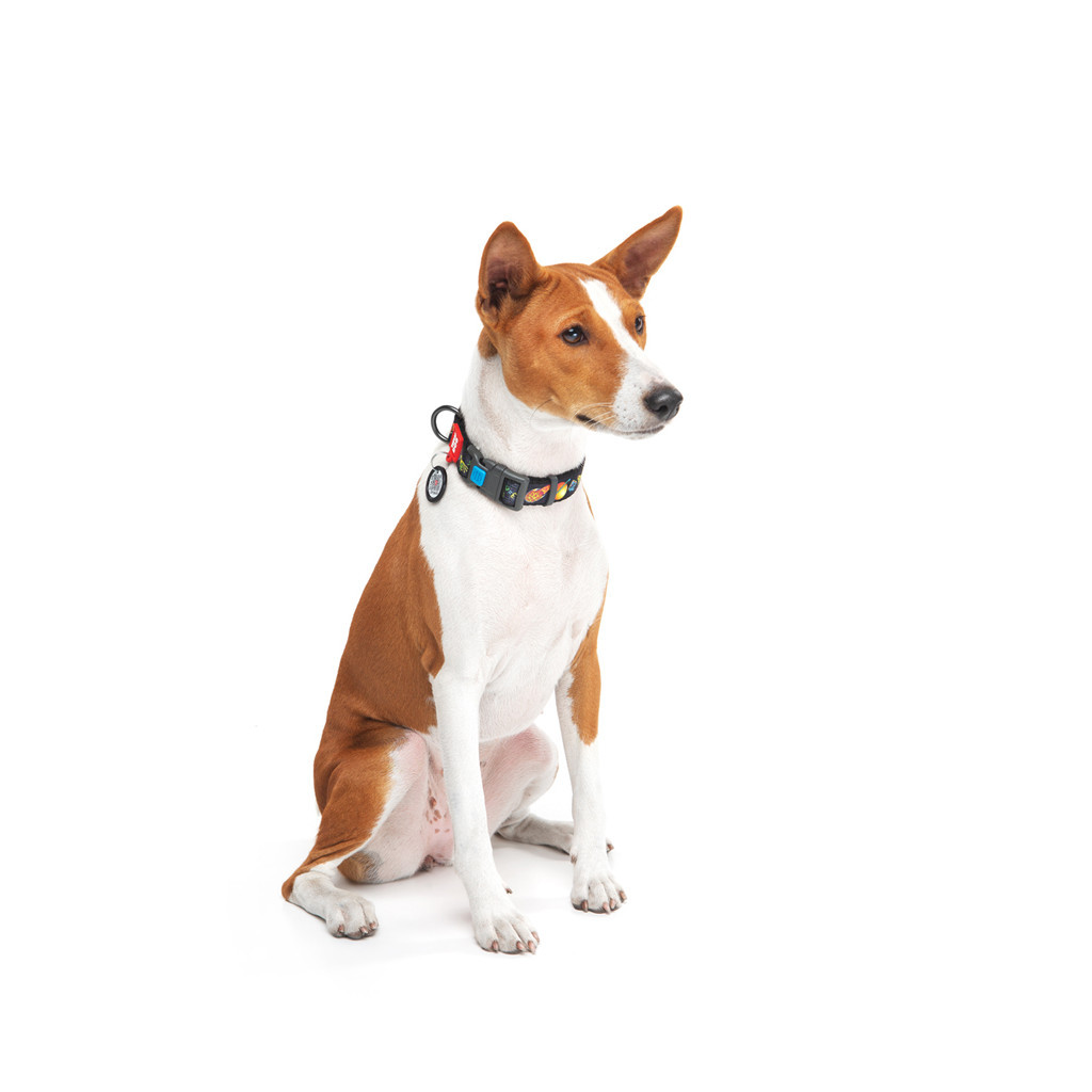 Нашийник для тварин WAUDOG Nylon з QR паспортом "Рік і Морті 3" пластиковий фастекс XL (4504-0282) - изображение 3