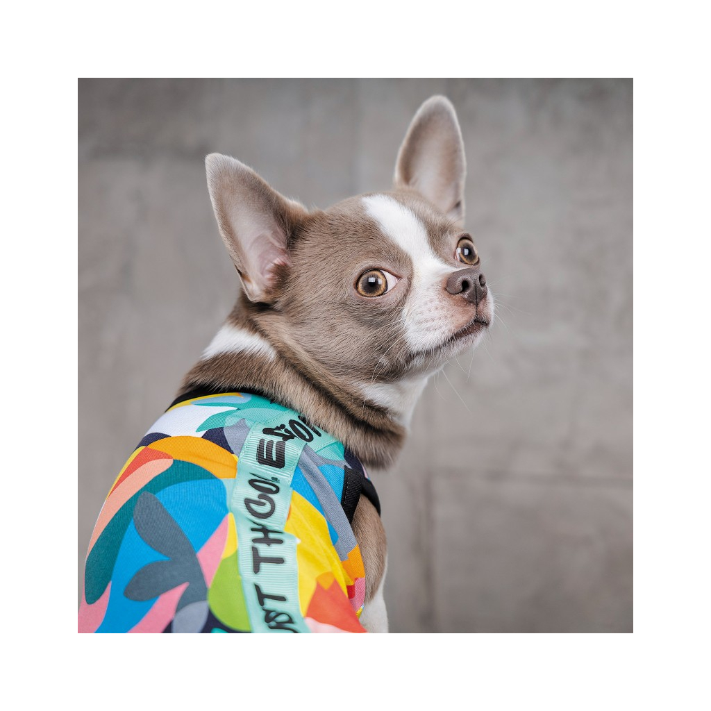 Борцівка для тварин Pet Fashion Cool XS2 різнобарвна (4823082420179) - зображення 5