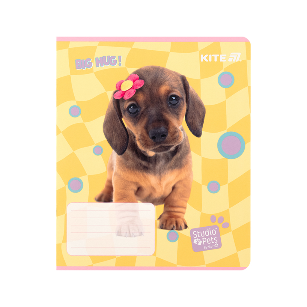 Зошит Kite Studio Pets, 12 аркушів, клітинка (SP25-232) - зображення 12