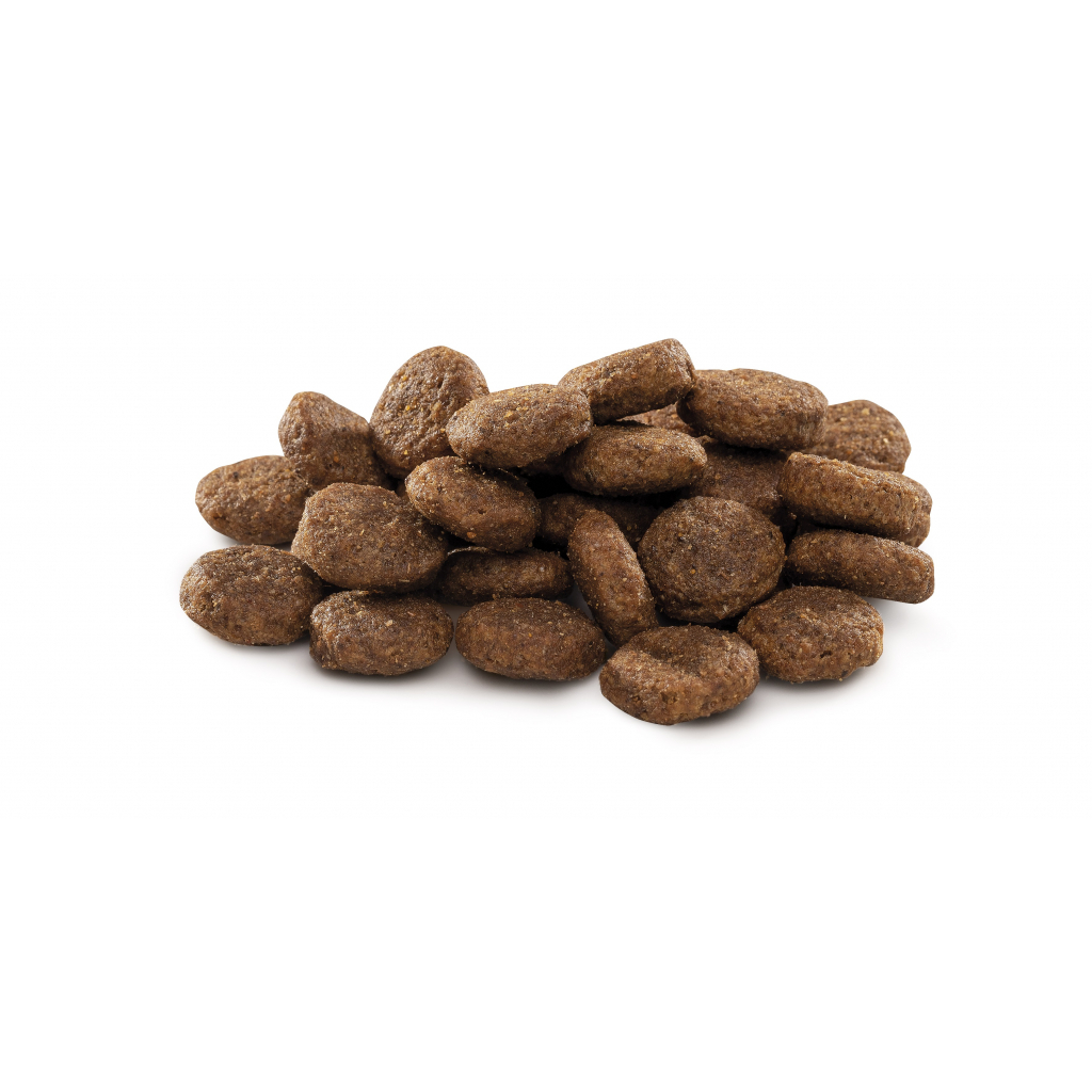 Сухий корм для собак Brit Premium Dog Junior L 15 кг (8595602526437) - зображення 4