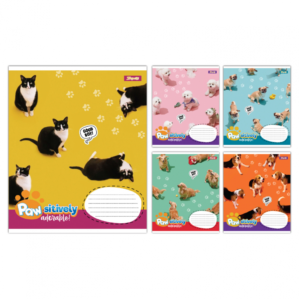 Зошит 1 вересня Pawsitively А5 24 аркушів лінія (768241) - зображення 1