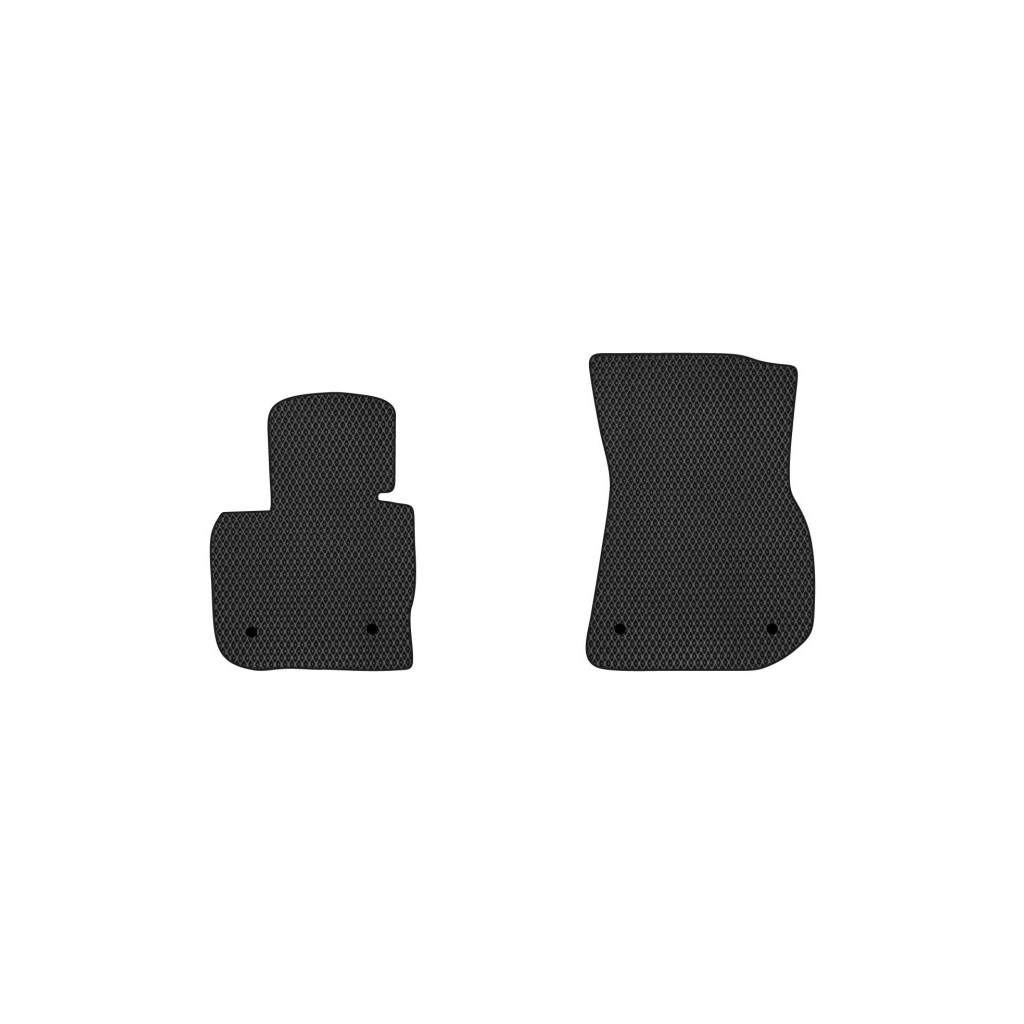 Килимок в салон EVAtech передні BMW X3 (G01) 2017+ 3 поколение (BM22380AB2BW4RBB) - зображення 1