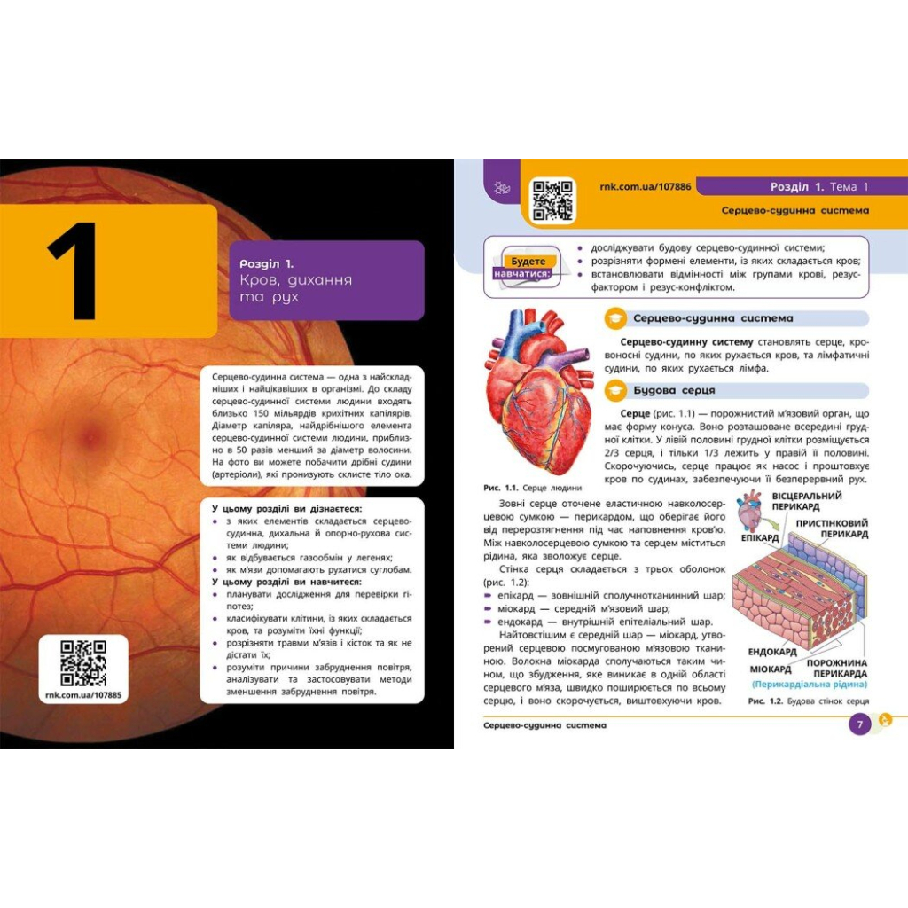Підручник НУШ Природничі науки. 8 клас - Ю.І. Мандренко, Т.В. Лісіцкая, Ю.О. Омелянчук, Я.Ю. Шуляк Ранок (9786170995933) - зображення 5