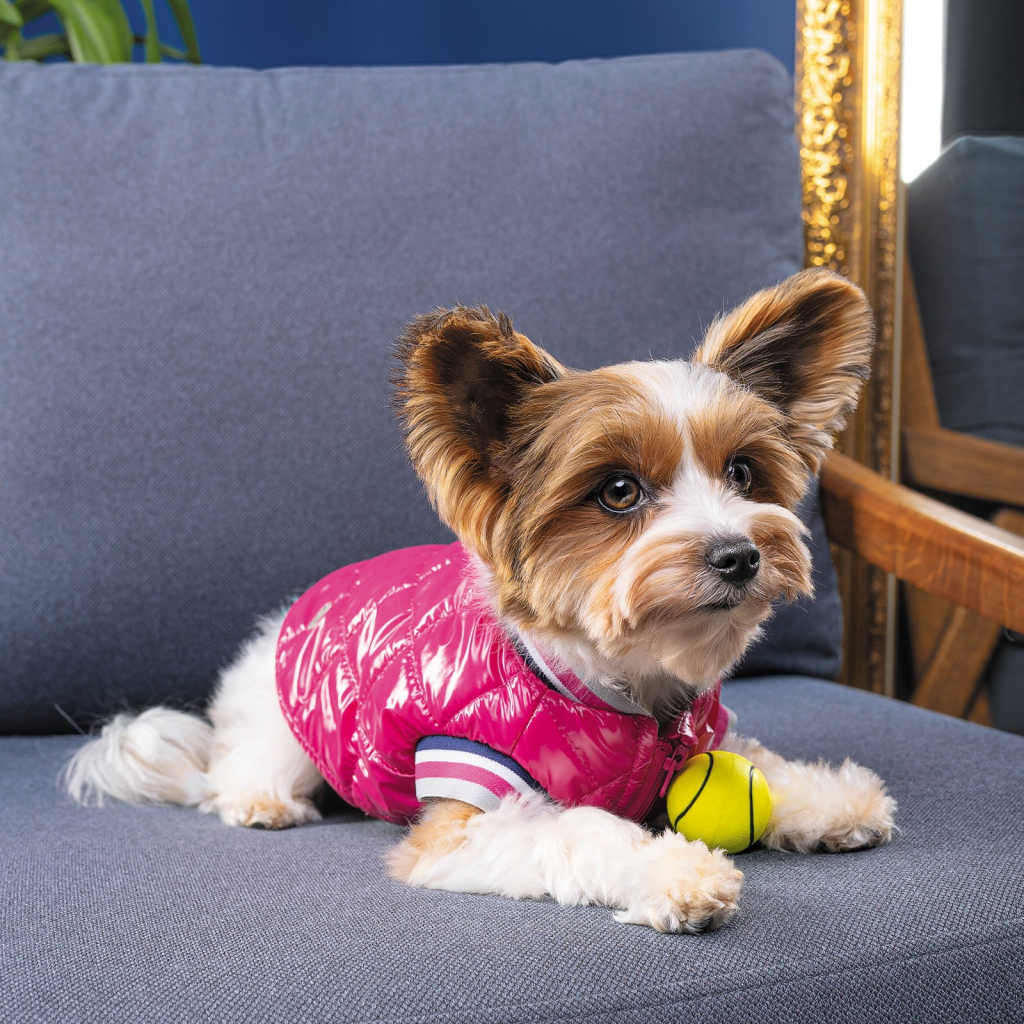 Бомбер для тварин Pet Fashion Grace М (4823082430178) - зображення 4