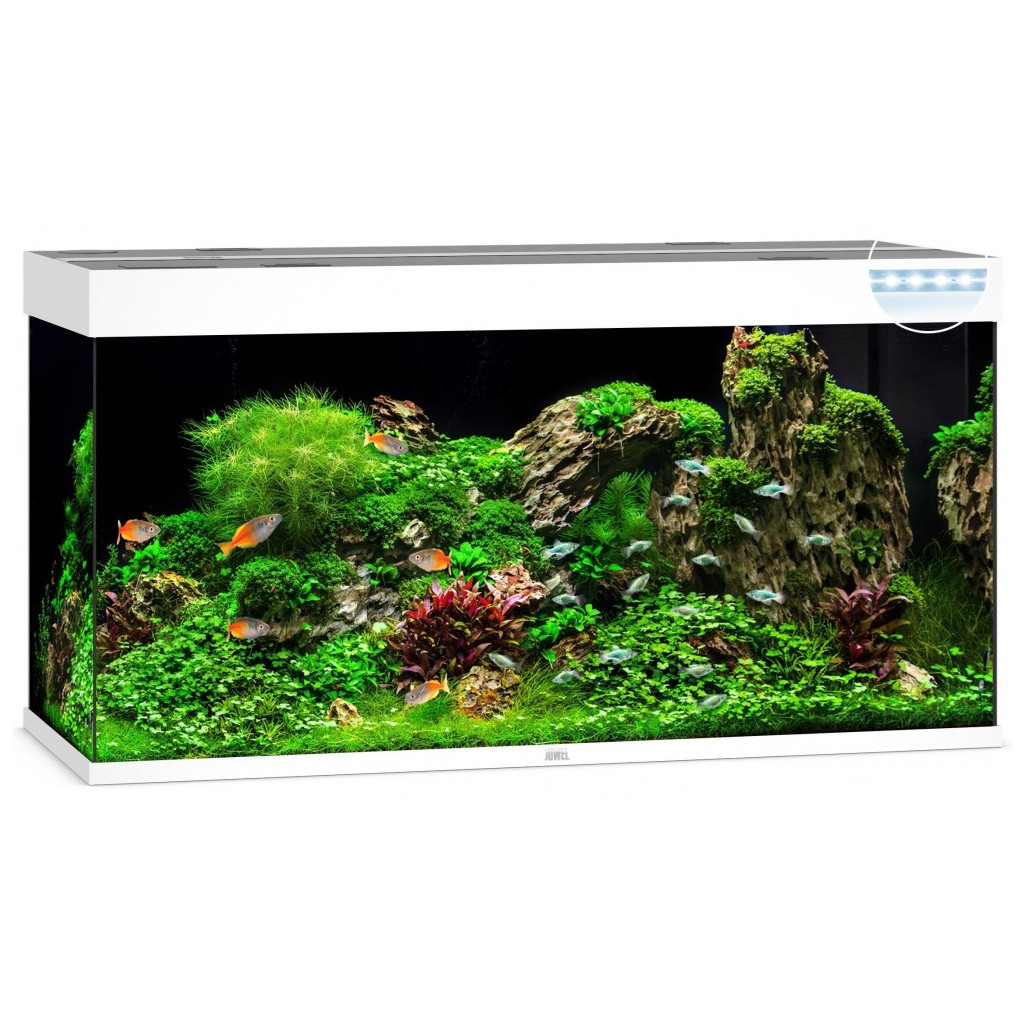 Акваріум Juwel Rio 350 LED 121х66х51 см 350 л прямий (білий) (4022573074505) - зображення 1