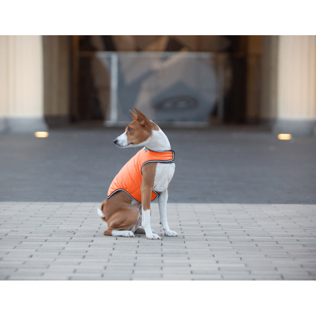 Курточка для тварин Airy Vest XS помаранчева (15414) - зображення 5