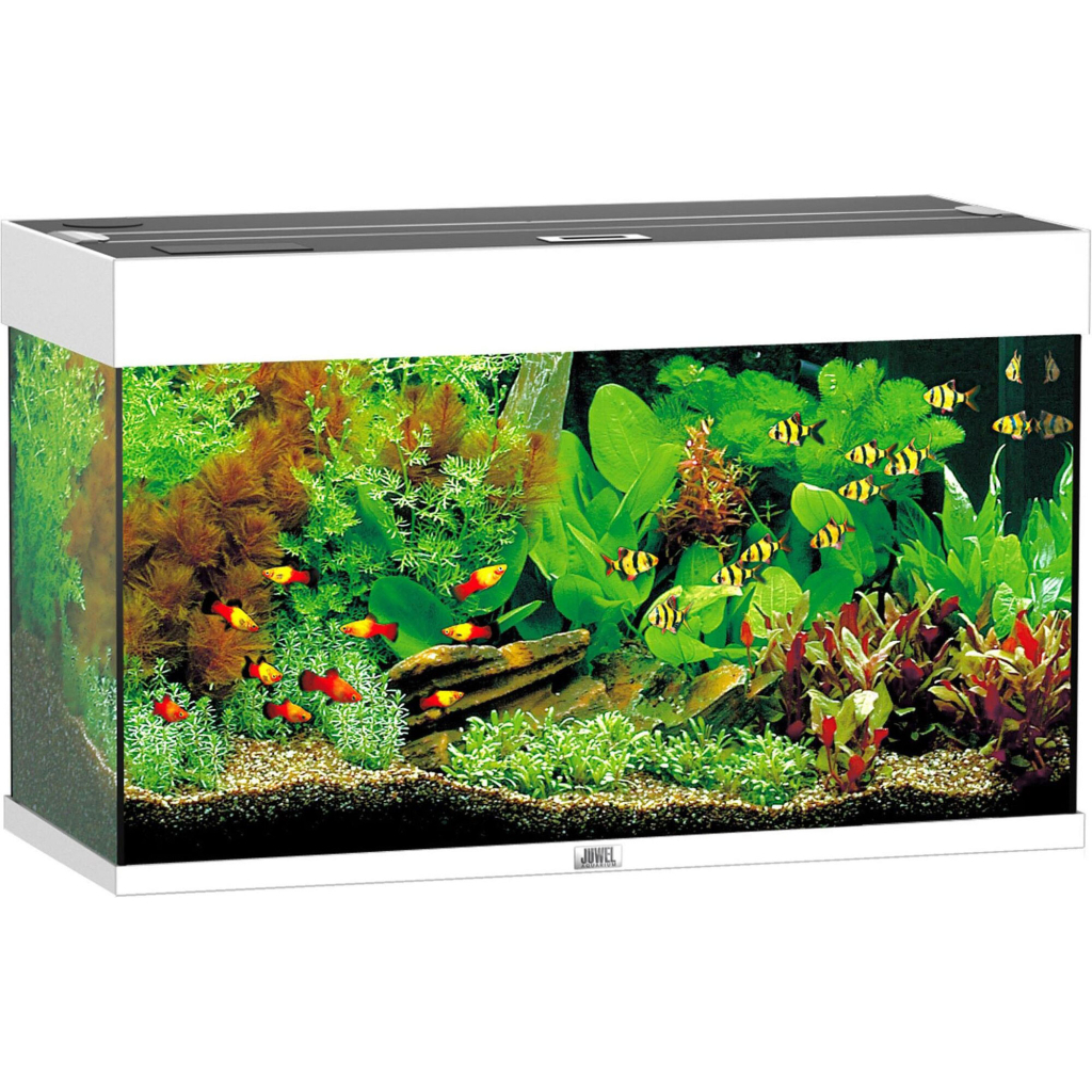 Акваріум Juwel Rio 125 LED білий (4022573014501) - зображення 1