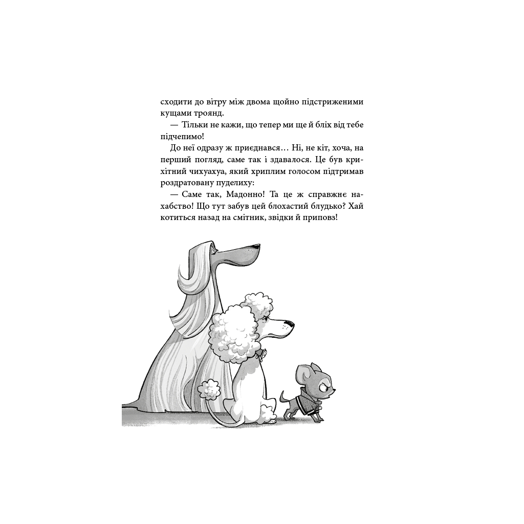 Книга Вулична банда. Книга 1: Лапа лапу миє - Келлі Стронк BookChef (9786175484548) - зображення 11