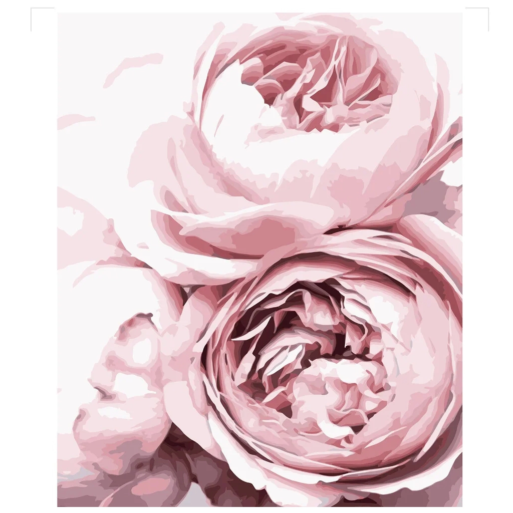 Картина по номерам Strateg Ніжні рожеві троянди 2 40х50 см (VA-3127) - зображення 1