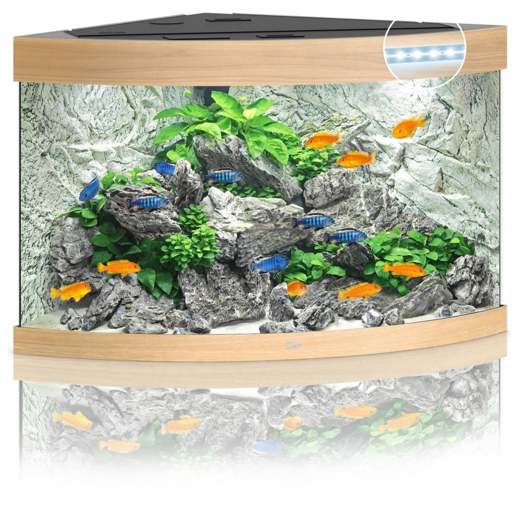 Акваріум Juwel Trigon 190 LED 99x60x70 см 190 л кутовий (дуб) (4022573168501) - изображение 1