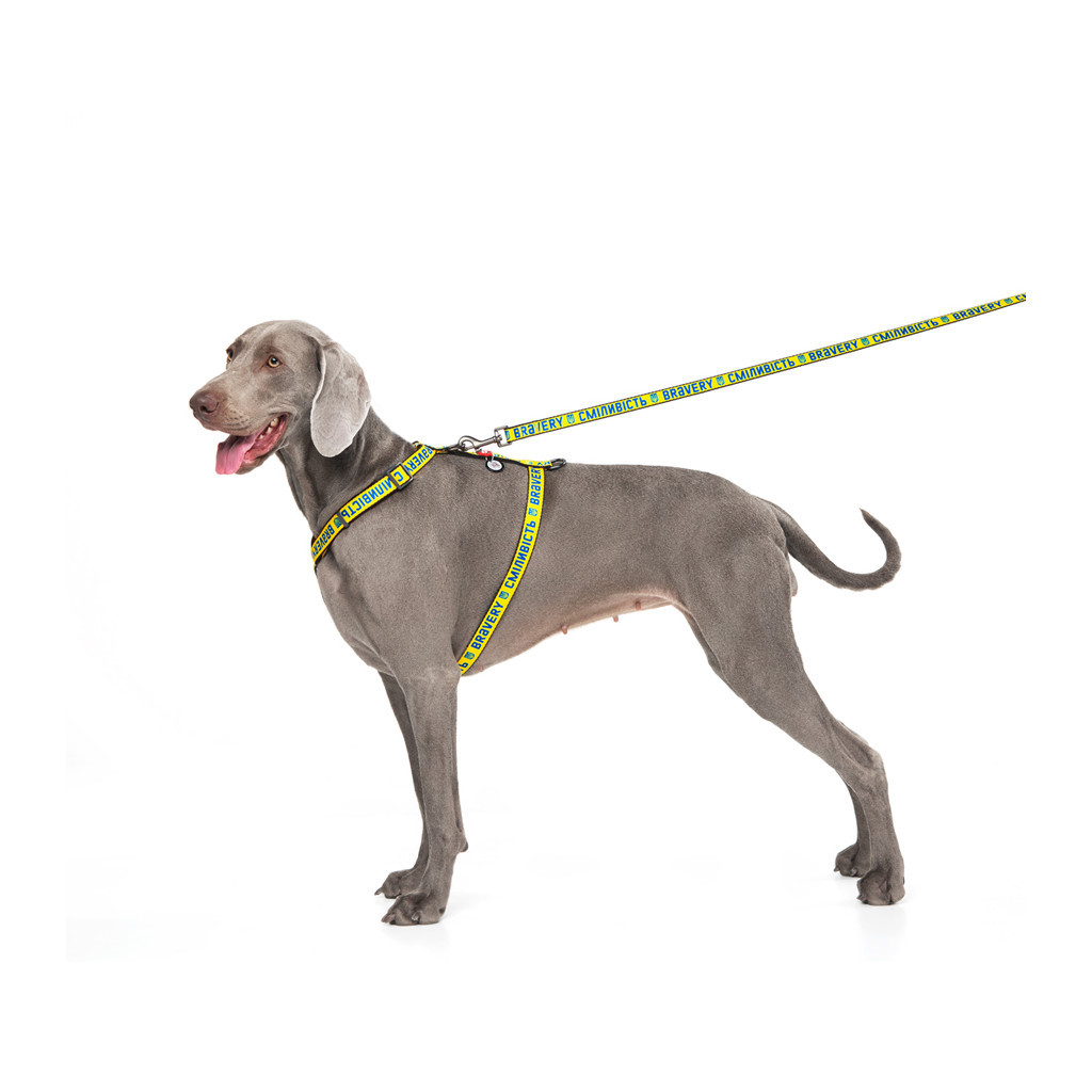 Повідець для собак WAUDOG Nylon "Сміливість" M (4920-0231) - зображення 7