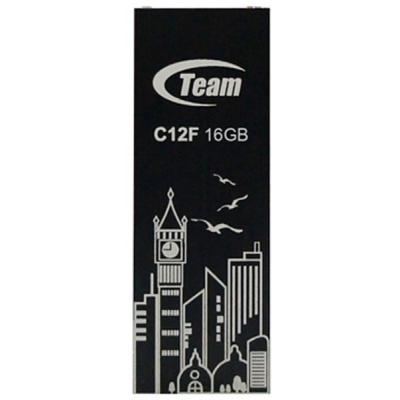 USB флеш накопичувач Team 16GB C12F USB 2.0 (TC12F16GR01) - зображення 1
