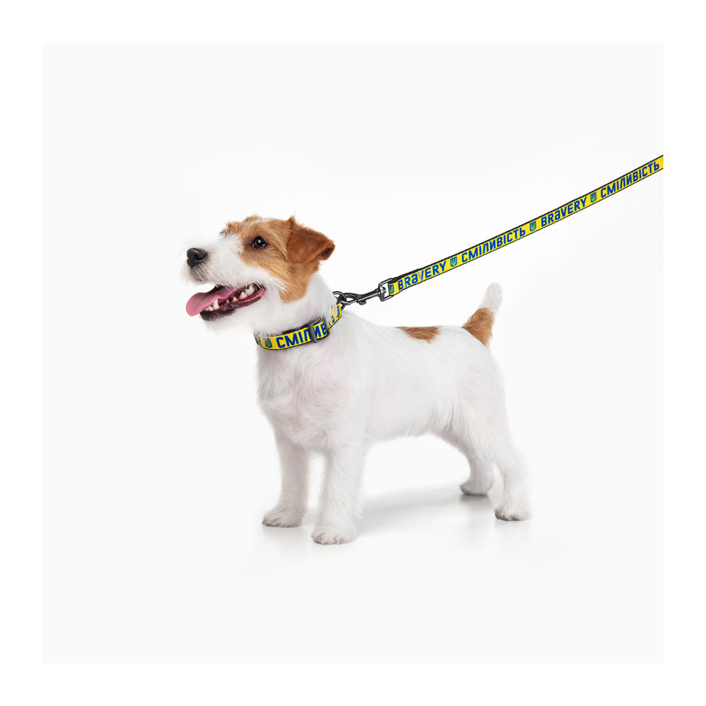 Повідець для собак WAUDOG Nylon "Сміливість" M (4920-0231) - зображення 6