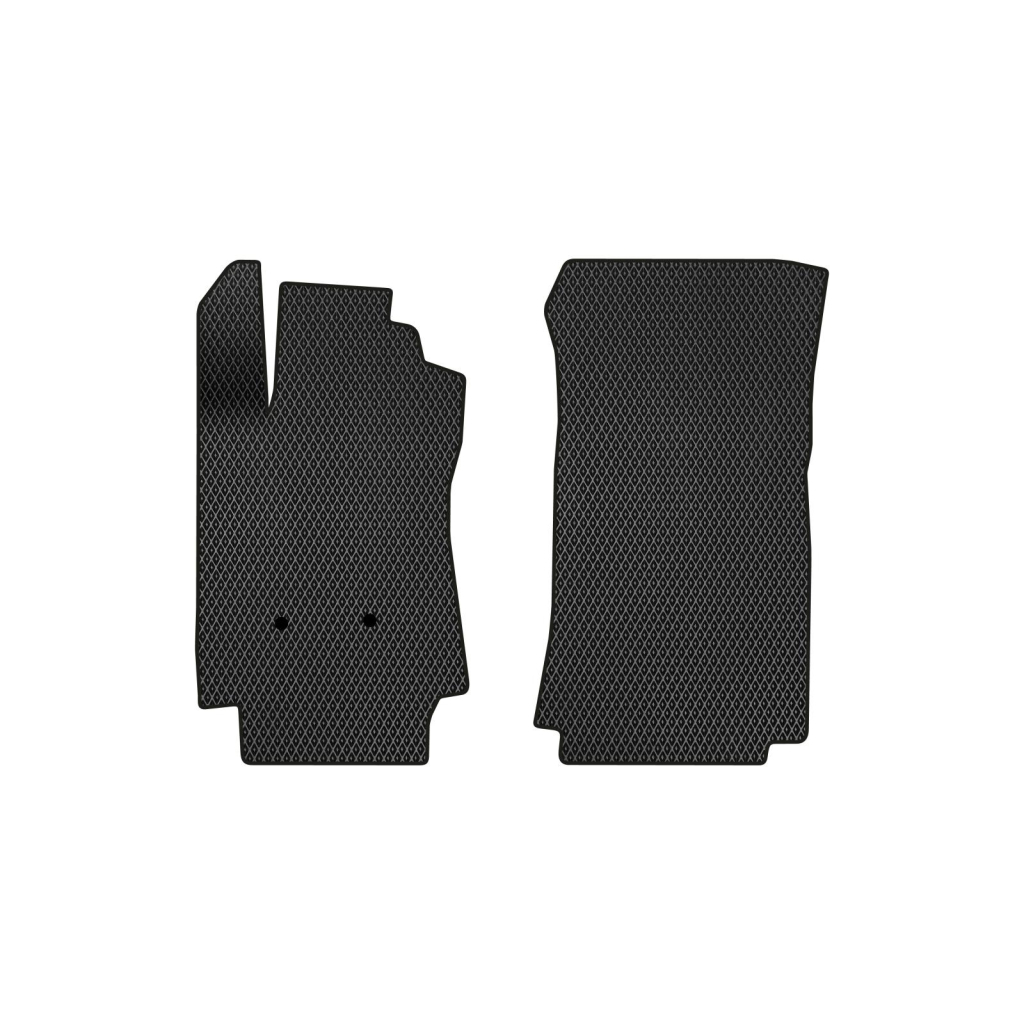 Килимок в салон EVAtech передні Renault Clio 2005-2011 3 покол (RT42334A2RN2RBB) - зображення 1