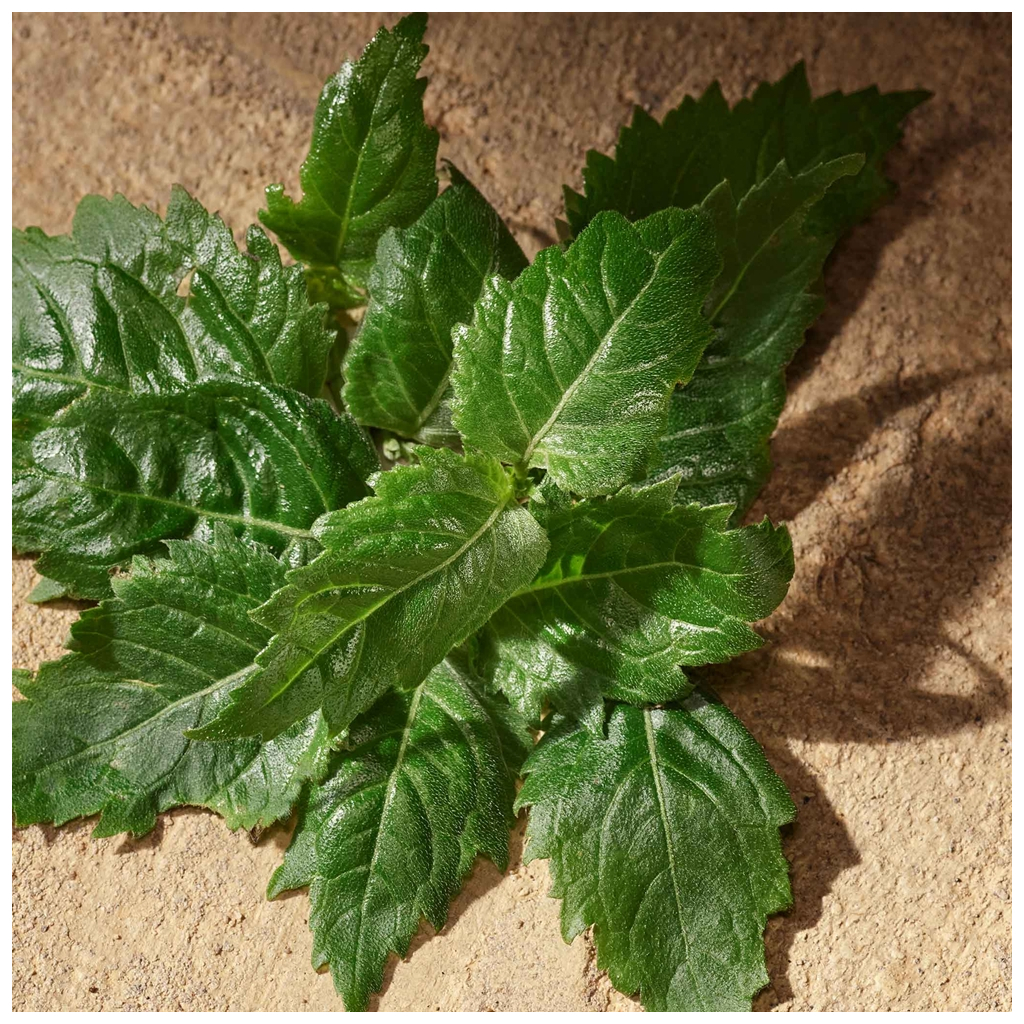 Парфумована вода Dolce&Gabbana Devotion Pour Homme 100 мл (8054754401059) - зображення 6