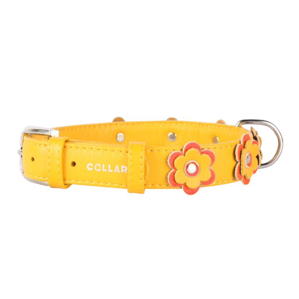 Нашийник для тварин Collar GLAMOUR з оздобленням "Аплікація" Ш 25 мм Д 38-49 см помаранчевий (35034) - зображення 1