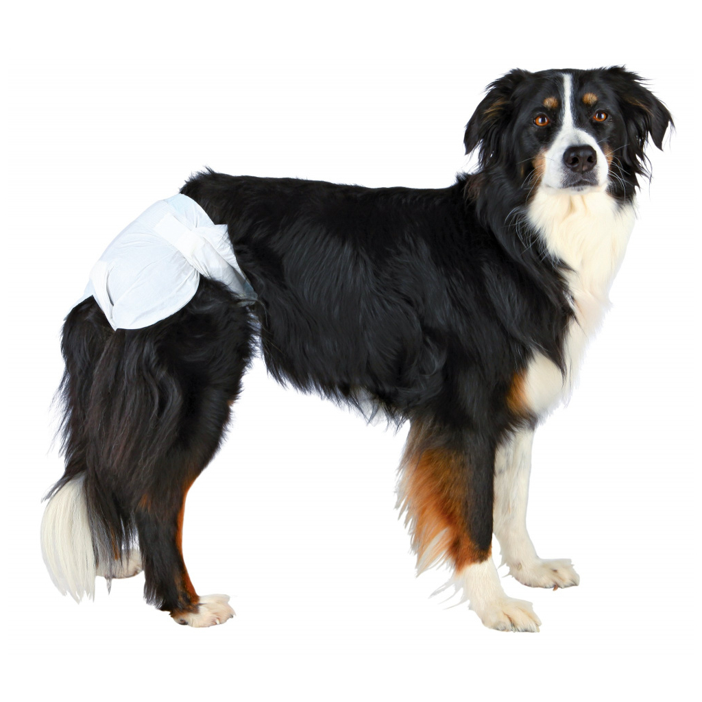 Підгузки для тварин Trixie для собак (сучок) XL 40-58 см 12 шт (4011905236360) - зображення 2