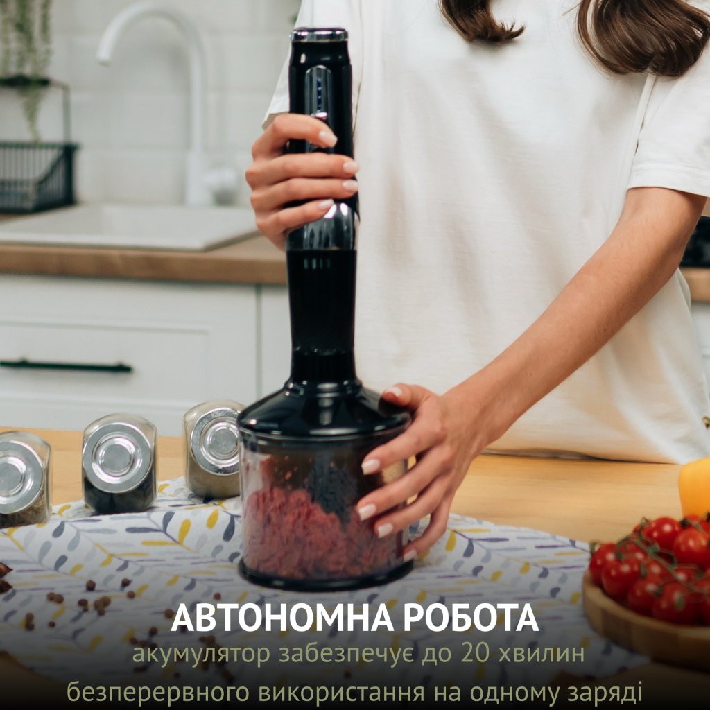 Блендер QUIN RHB-301 - зображення 2