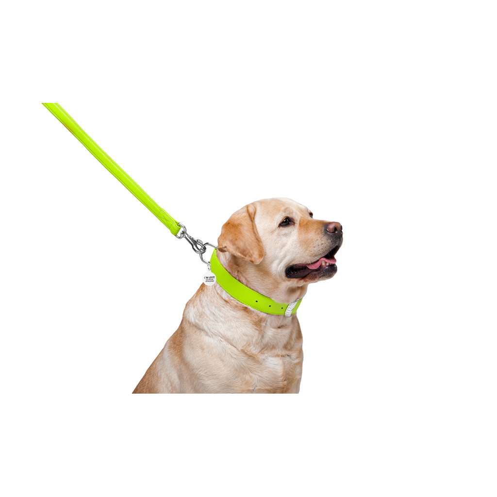 Повідець для собак WAUDOG Glamour шкіряний M-XXL салатовий (33765) - изображение 4