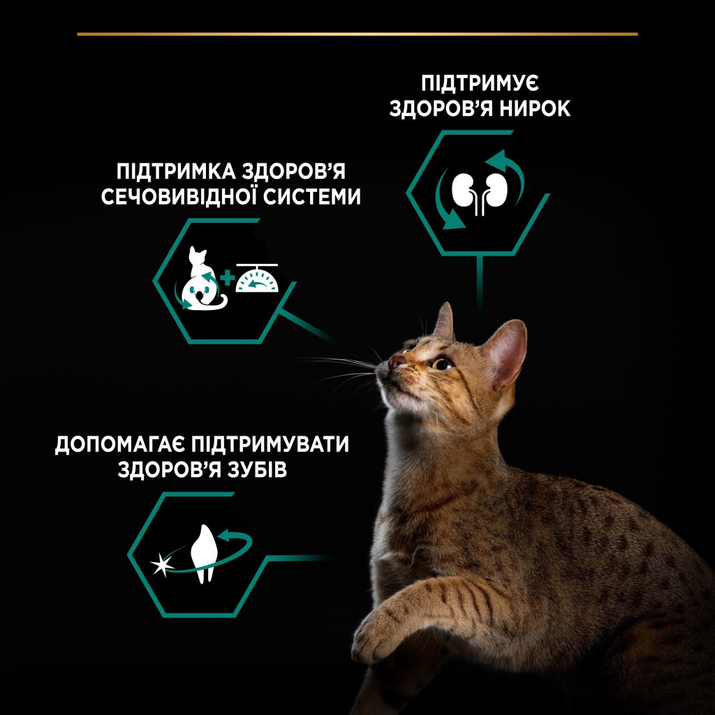 Сухий корм для кішок Purina Pro Plan Sterilised Adult 1+ Renal Plus Для дорослих стерилізованих З індичкою 14 кг (7613287887702) - зображення 4