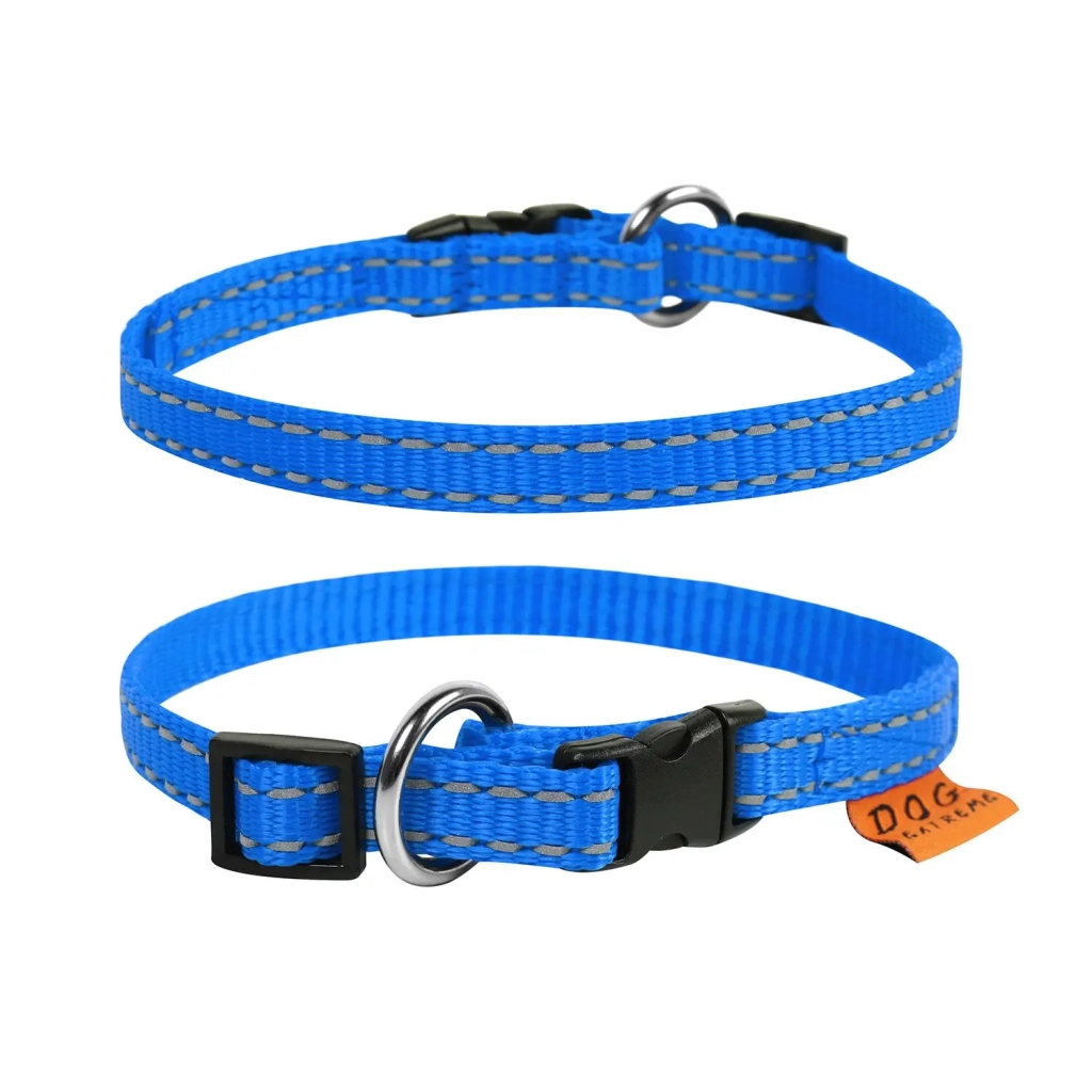 Нашийник для тварин Collar Dog Extremе 10 мм 20-30 см (блакитний) (42842) - зображення 1