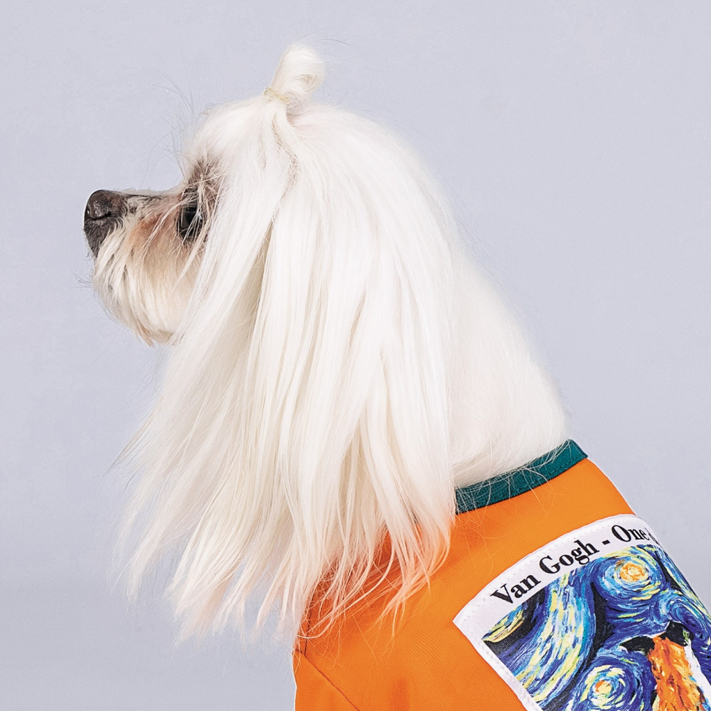 Футболка для тварин Pet Fashion "ART" XS2 жовтогаряча (4823082420933) - зображення 5