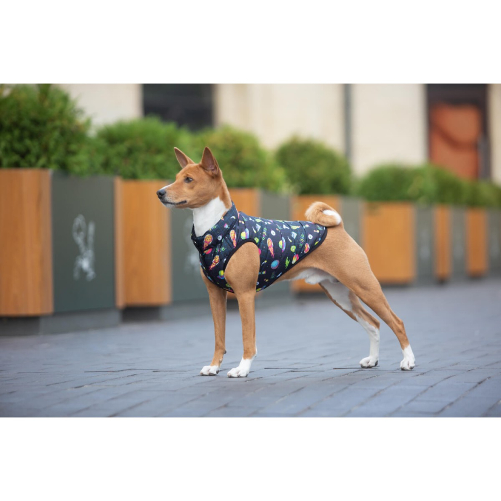 Курточка для тварин WAUDOG Clothes "Рік і Морті 2" S30 (0931-0281) - зображення 3