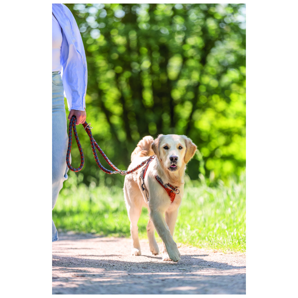 Нашийник для тварин Trixie Cavo напівзашморг S 30–36 см d 12 мм рижо-графітовий (4053032678224) - зображення 3