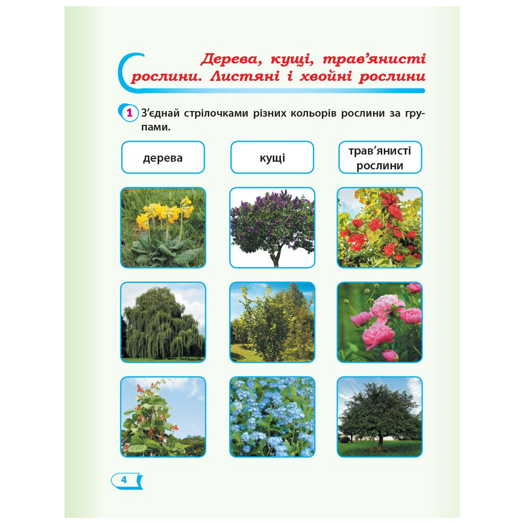 Робочий зошит НУШ Дидакта Я досліджую світ. 1 клас. До підручника "Я досліджую світ" У 2 частинах. Частина 2 Ранок (9786170954220) - зображення 5