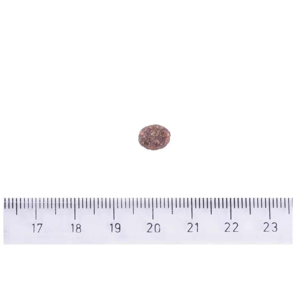 Сухий корм для собак Brit Care Dog Sustainable Adult Small Breed з куркою та комахами 1 кг (8595602558674) - зображення 3