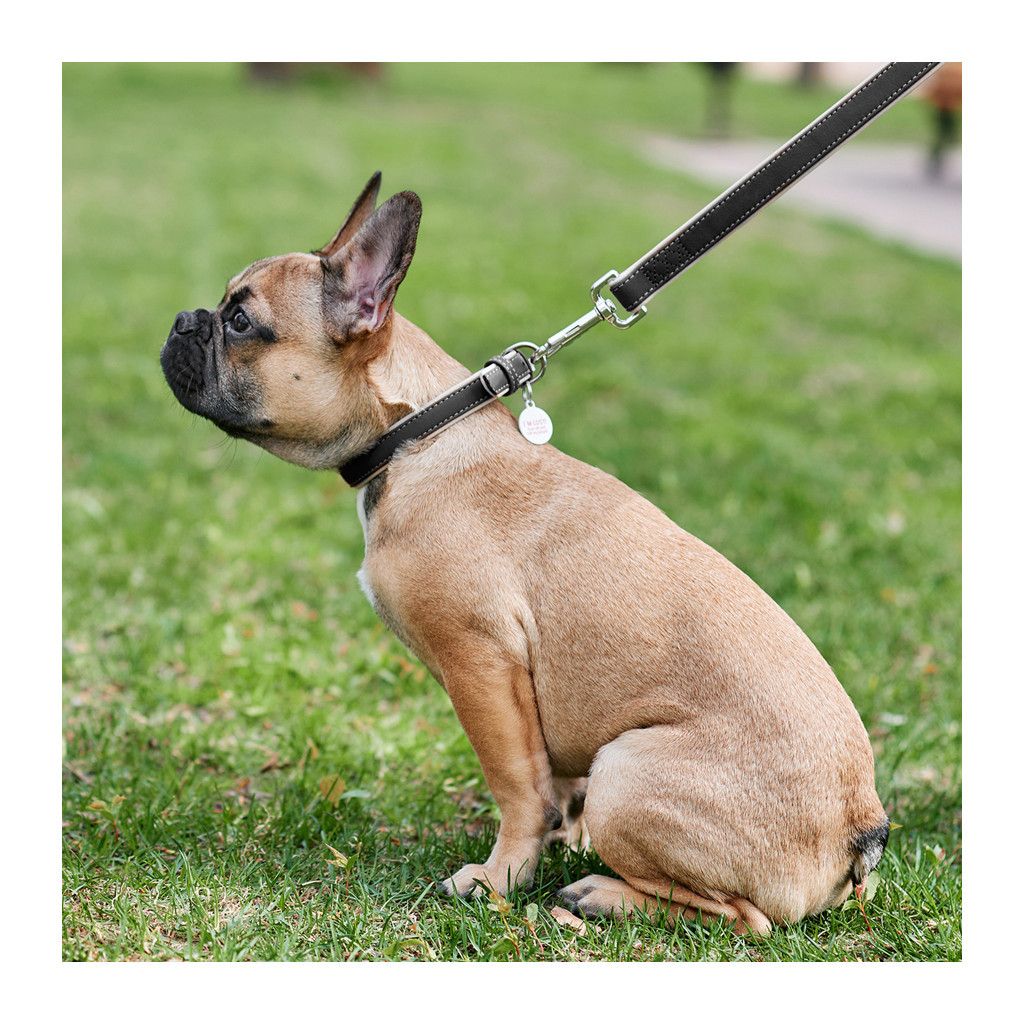 Повідець для собак WAUDOG Soft XS Ш 13 мм Д 122 см чорний (7254) - зображення 2