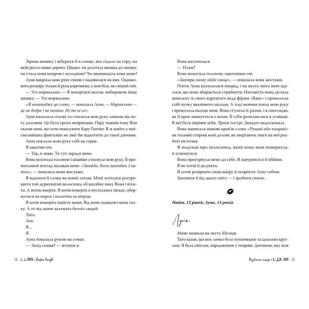 Книга Розбитий лицар - Л. Дж. Шен Видавництво РМ (9786178373283) - зображення 3