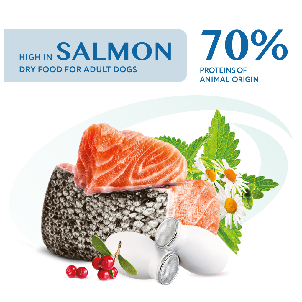 Сухий корм для собак Optimeal для мініатюрних порід з високим вмістом лосося 700 г (4820269140011) - зображення 2