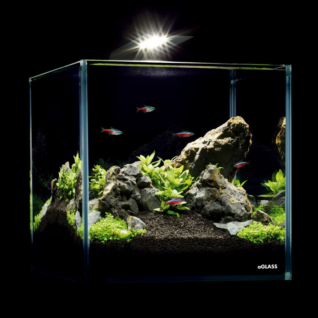 Акваріум Aqualighter набір NaGLASS Nano Set 220 мм 10 л (7142) - зображення 5