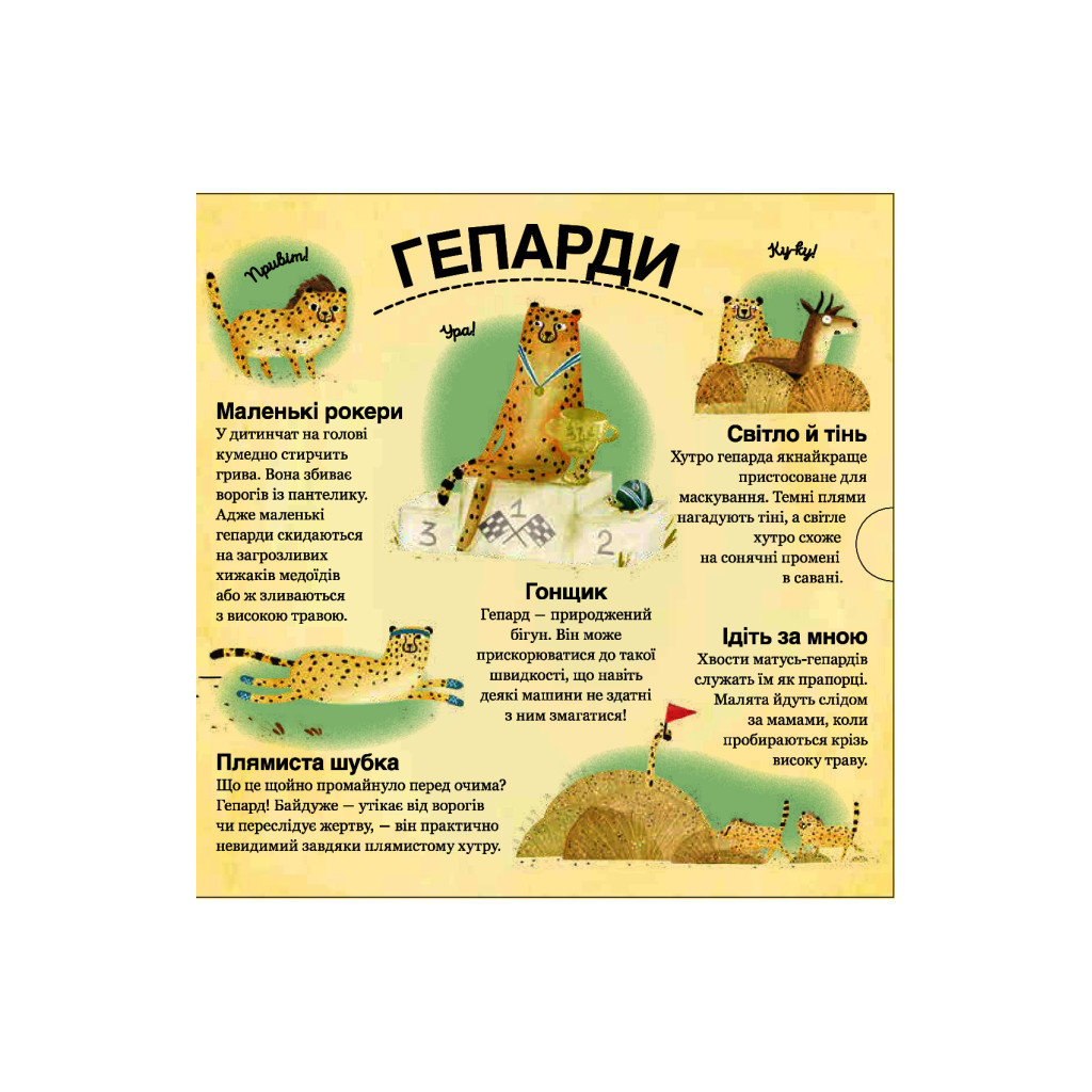 Книга Хто ховається між листям й у воді? - Павла Ганачкова #книголав (9786177563999) - зображення 7