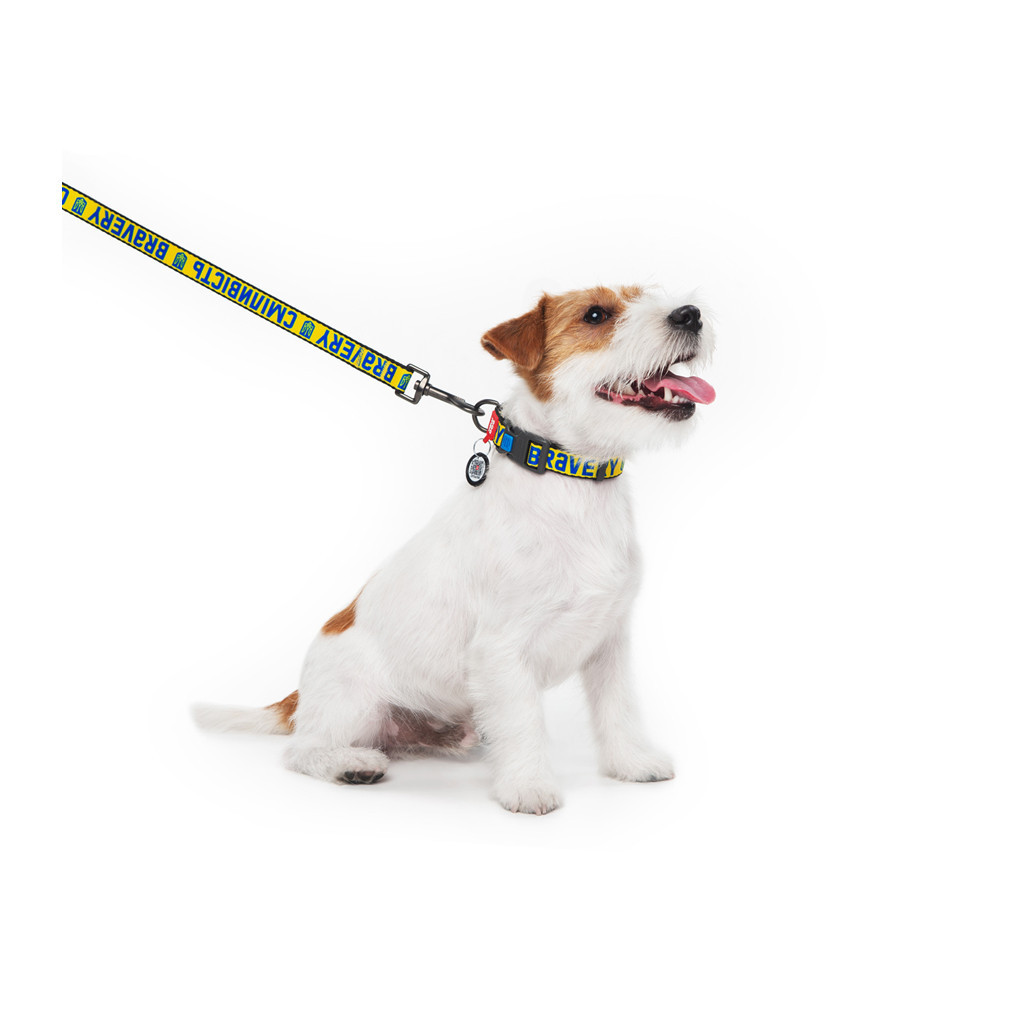 Нашийник для тварин WAUDOG Nylon з QR паспортом "Сміливість" пластиковий фастекс S (4501-0231) - зображення 4