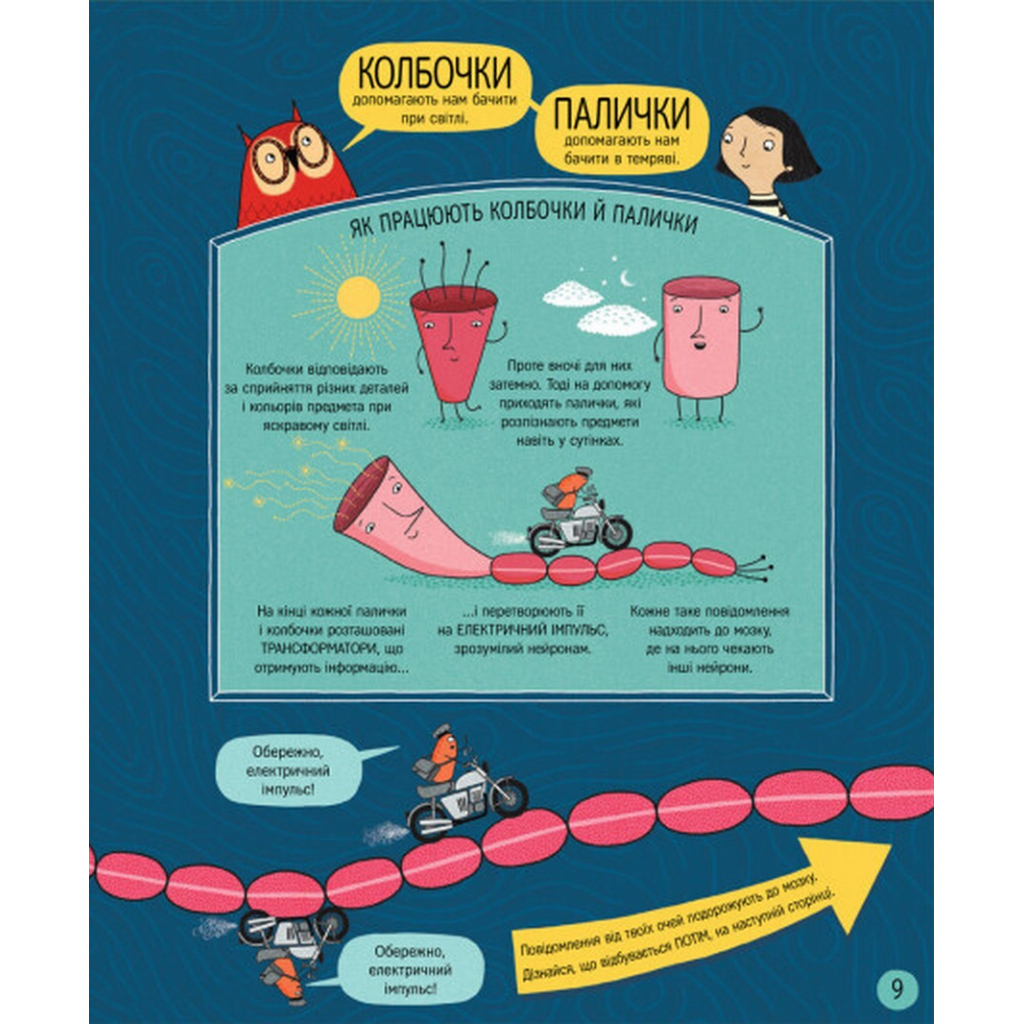 Книга Книжка про мозок і те, як він працює - Бетіна Іп #книголав (9786178012243) - зображення 9