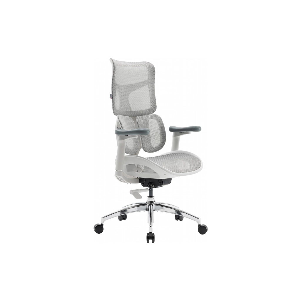 Офісне крісло Sihoo DORO S100 Mesh White (S100-M302) - зображення 1