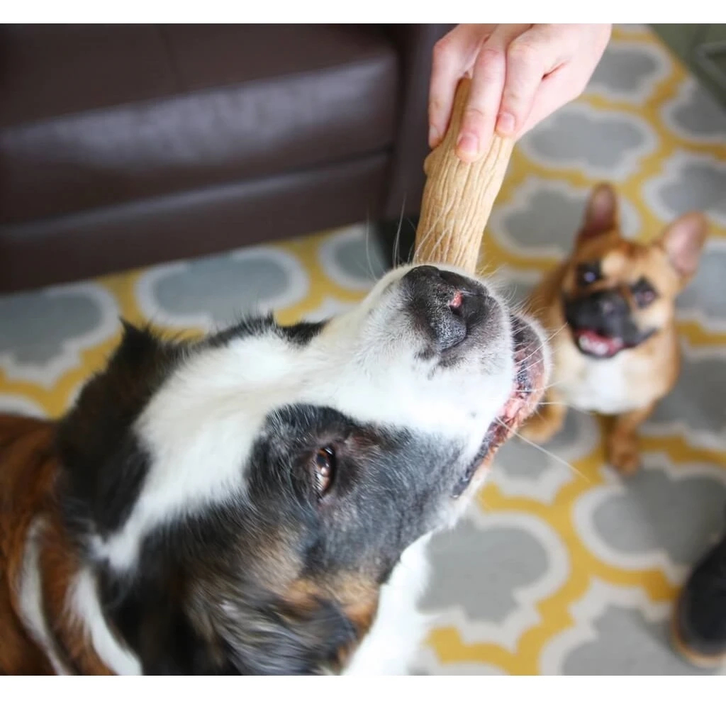 Іграшка для собак Petstages Dogwood Stick "Міцна гілка" 13.5 см (0871864002178) - зображення 4