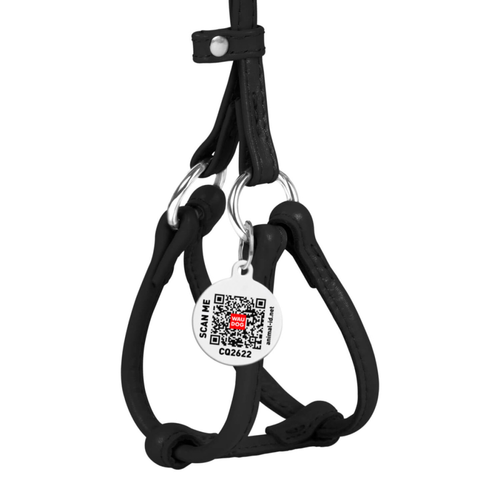 Шлея для собак WAUDOG Glamour з повідцем кругла Д 6 мм А 26-46 см В 30-50 см чорна (34011) - зображення 2