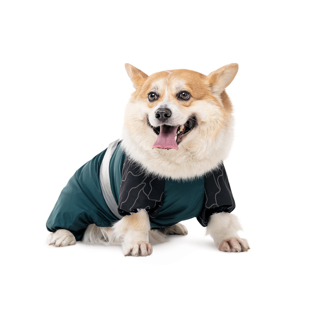 Комбінезон для тварин Pet Fashion Den М3 (4823082439737) - зображення 3