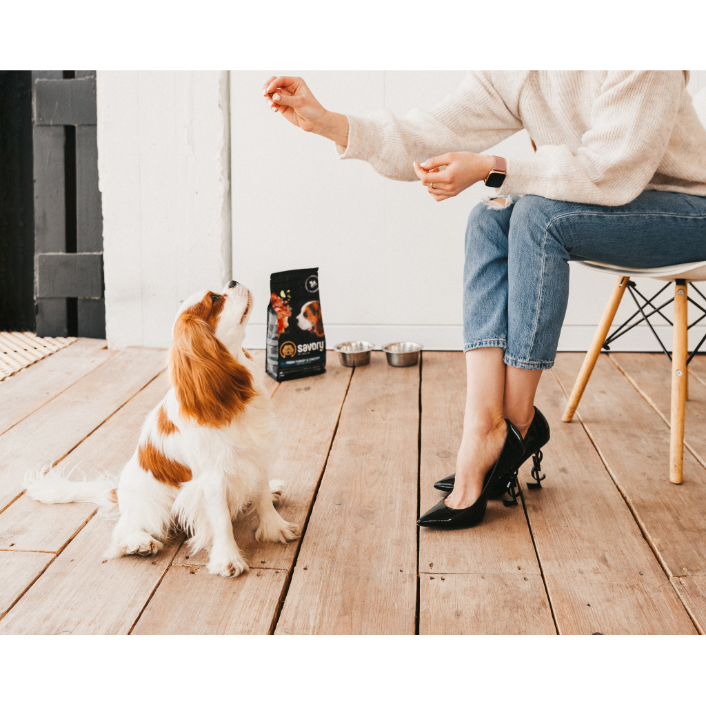 Сухий корм для собак Savory Puppy rich in Fresh Turkey and Chicken 1 кг (4820232630280) - зображення 3