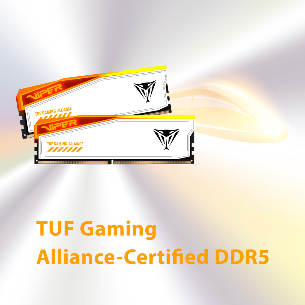 Модуль пам'яті для комп'ютера DDR5 32GB (2x16GB) 6600 MHz Viper Elite 5 RGB Patriot (PVER532G66C34KT) - зображення 7