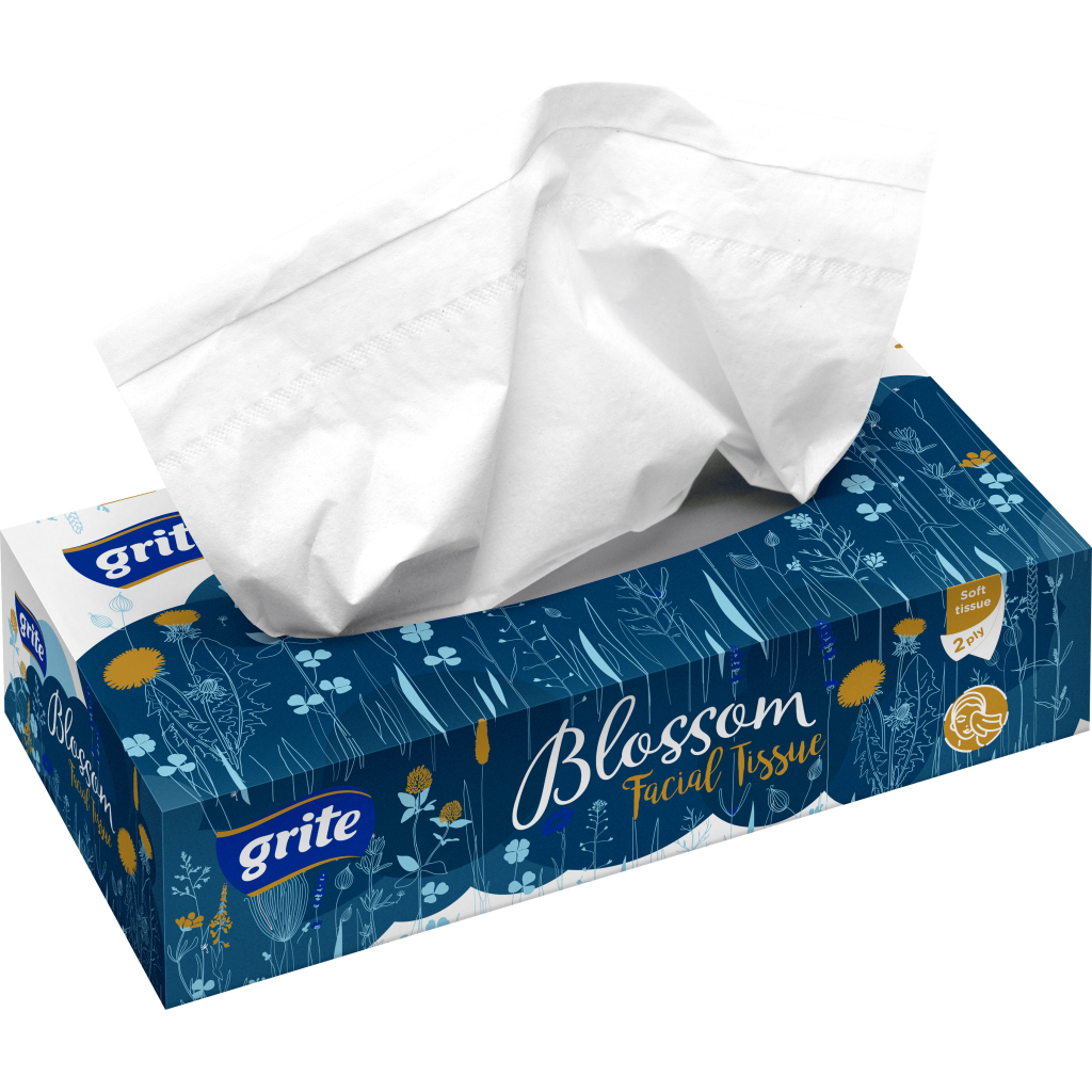 Серветки косметичні Grite Blossom 2 шари 80 шт. (4770023346152) - зображення 1